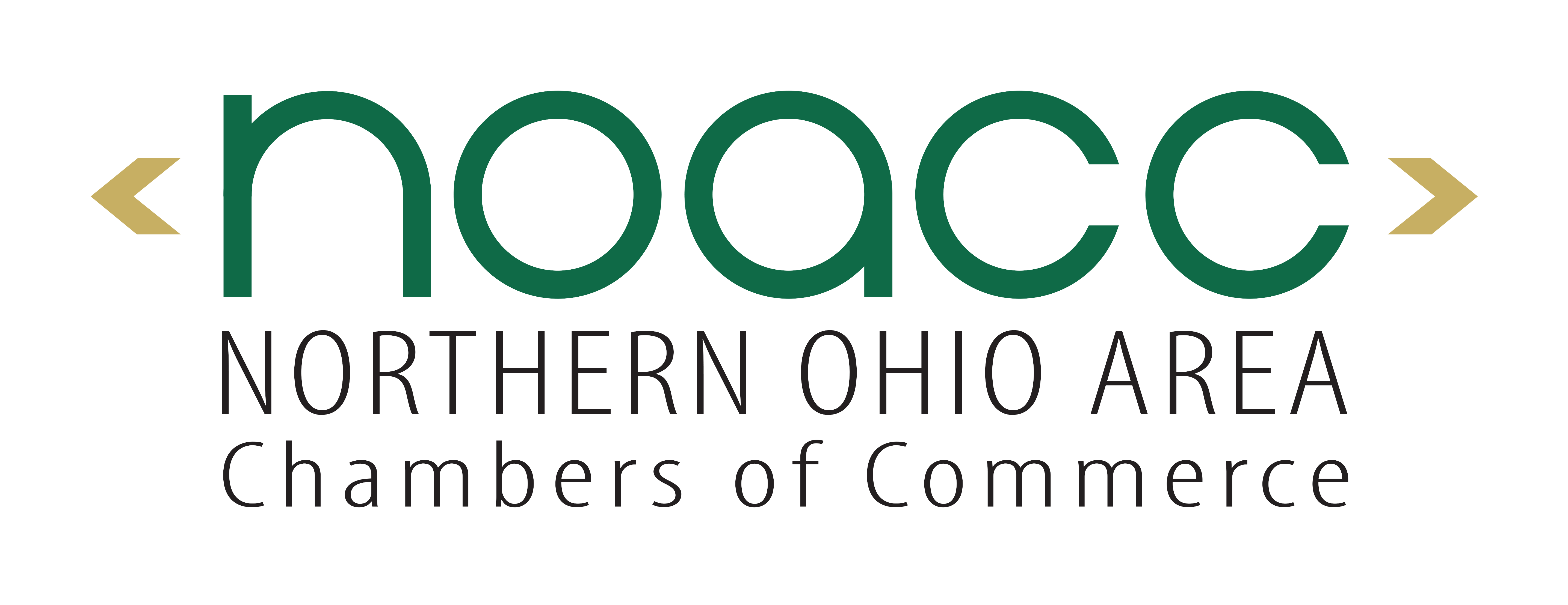 NOACC_2020Logo